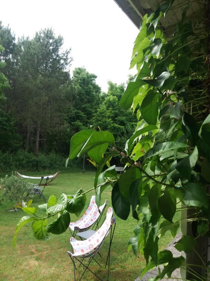Bed and Breakfast Les Eygletieres Bourriot-Bergonce Экстерьер фото
